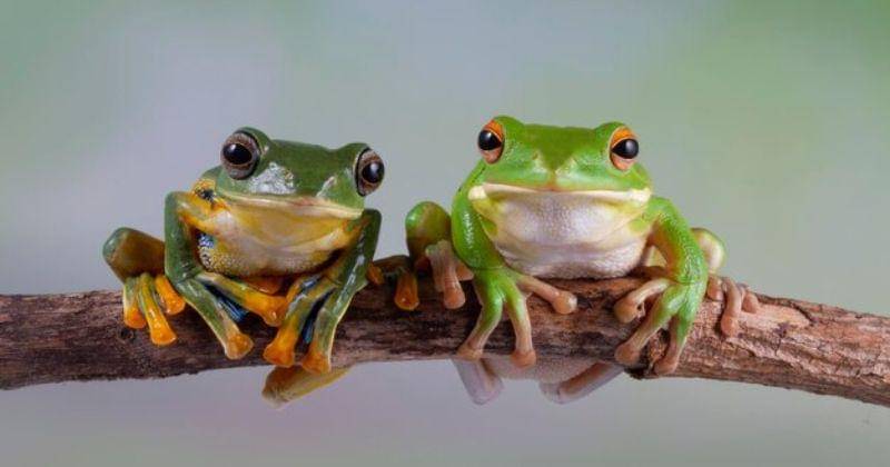 Freepik/kuritafsheen77